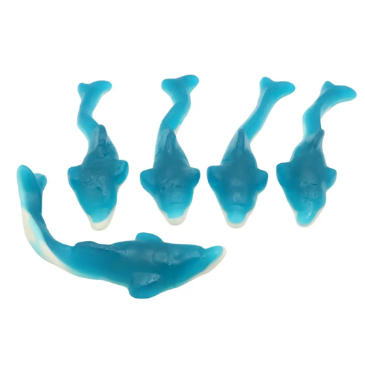 Kingsway Giant Dolphins